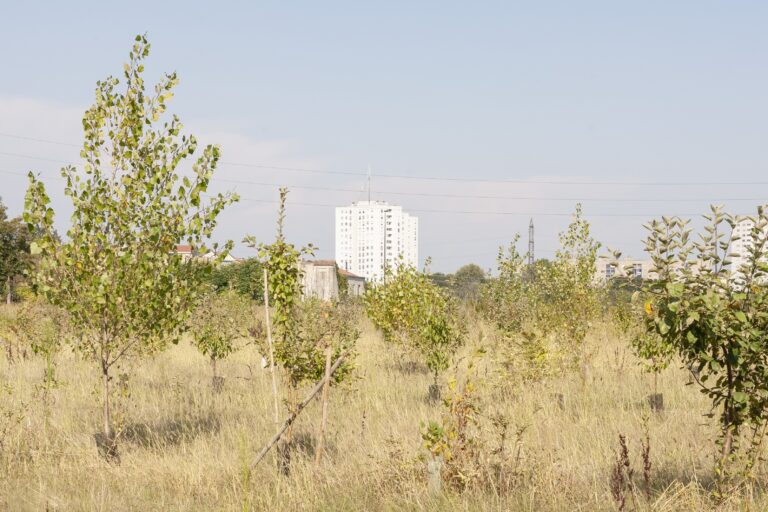 Ecologie del possibile4